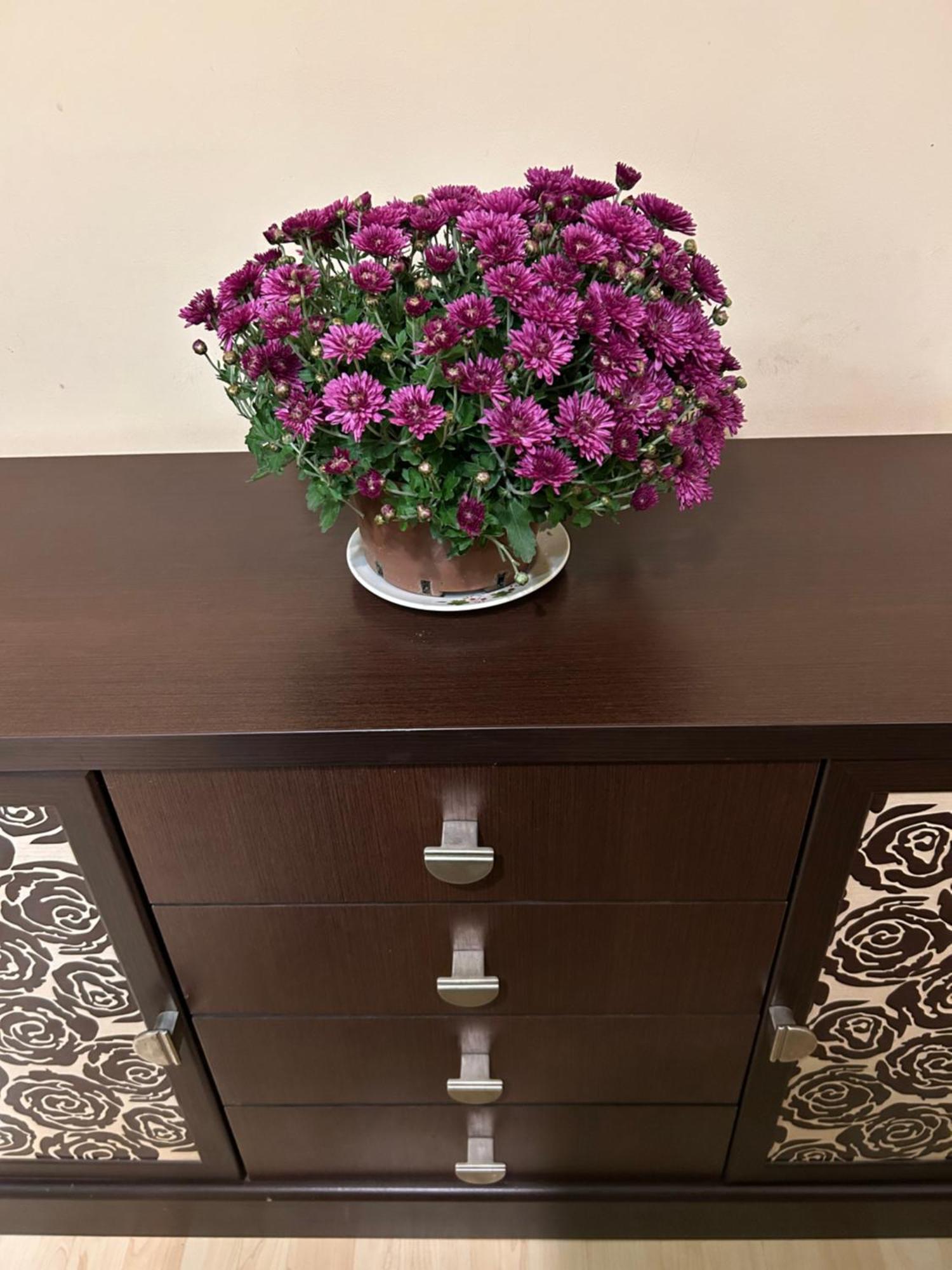 Three Bedroom Stepana Bandery Street Rivne Ngoại thất bức ảnh